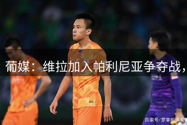 葡媒：维拉加入帕利尼亚争夺战，本菲卡凭亲情与恩师竞争